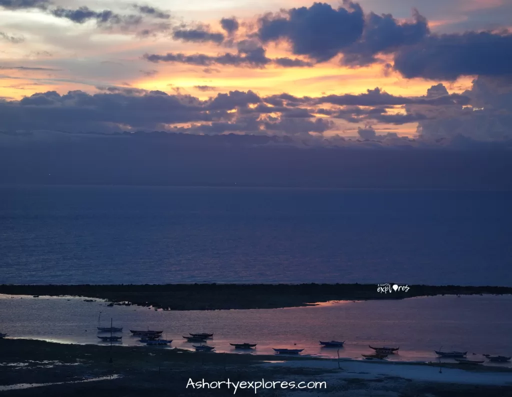 The Majestic Loon Coral Garden bohol island sunset point