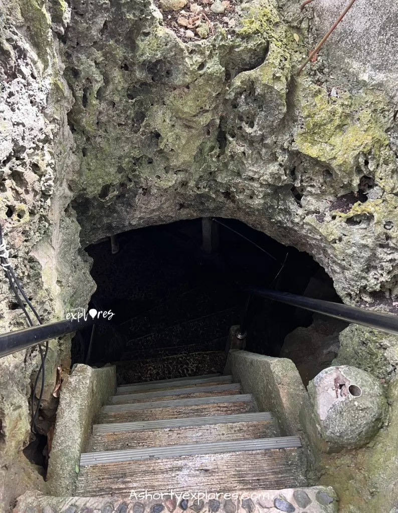 entrance of Hinagdanan Cave Bohol Island