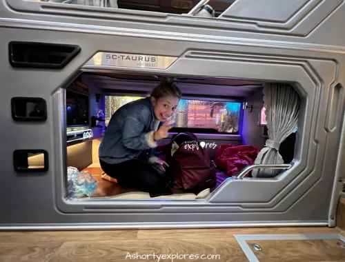 vietnam VIP sleeper bus cabin