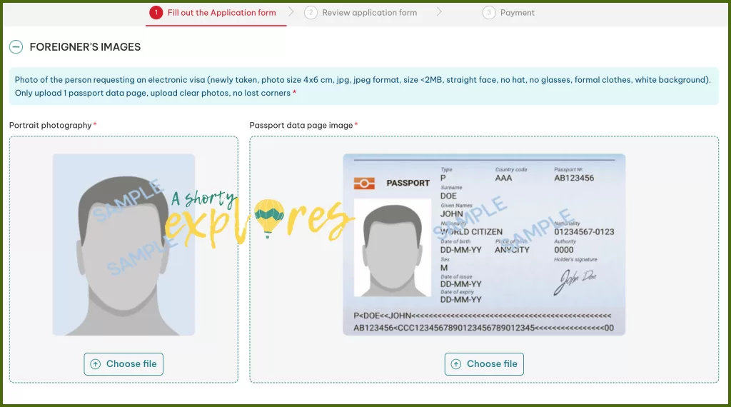 Vietnam e-visa foreigner's image
