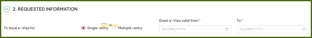 Vietnam e-visa requested information