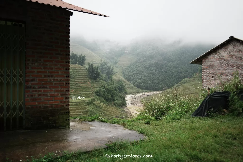 Sapa rice terrace and houses photo