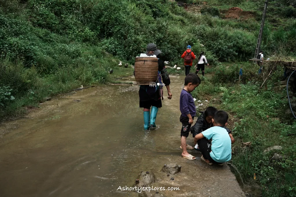 Sapa rice terrace trekking and village kids
