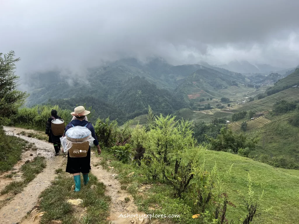 Sapa rice terrace trekking photo
