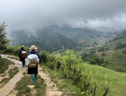 Sapa rice terrace trekking photo