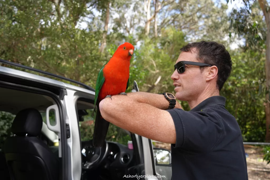 Great Ocean Road and Grampians private tour guide