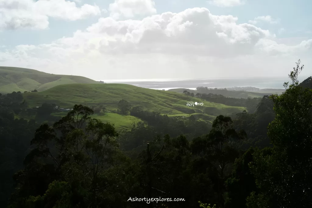 Great Ocean Road view