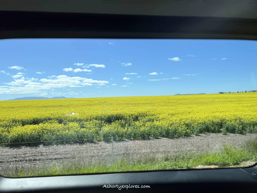 Road view from Grampians to Great Ocean Road