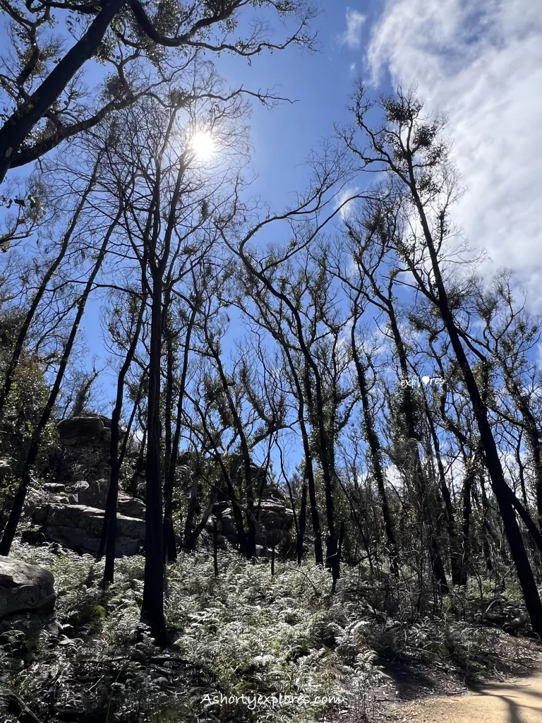 Grampians The Balconies walk path