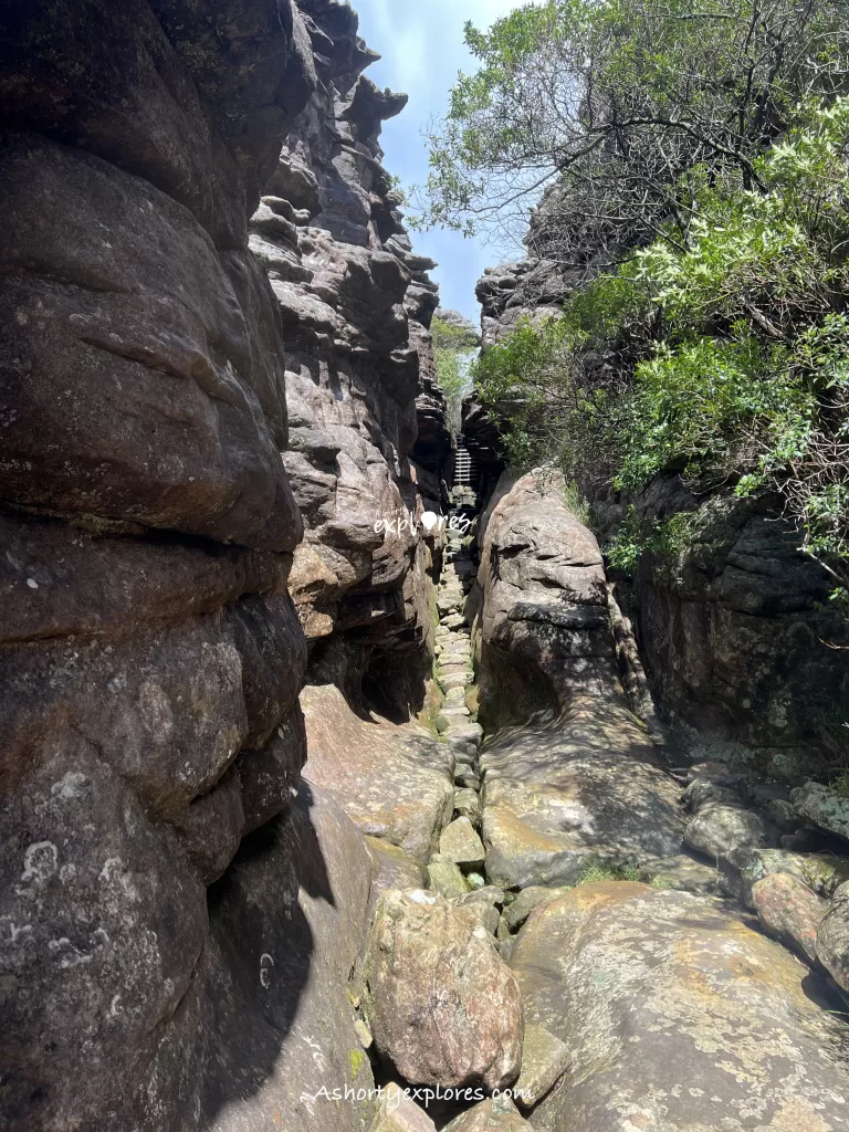 Pinnacle Lookout Silent Street photo