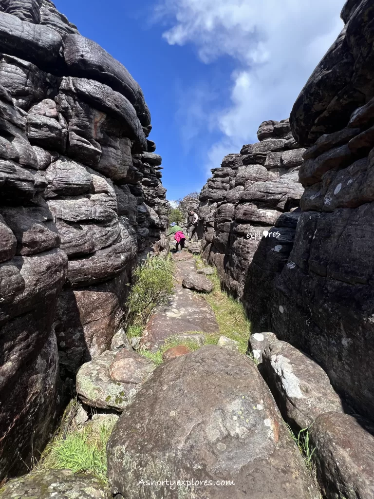 Pinnacle walk view on the hiking route